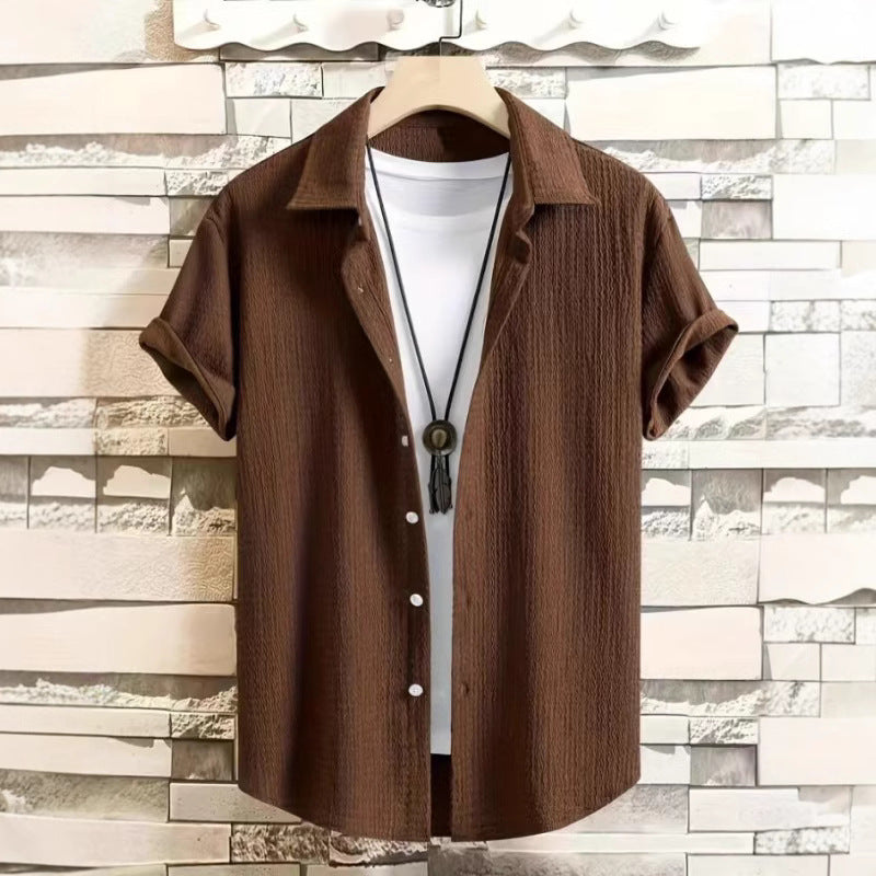 Braun / XXL